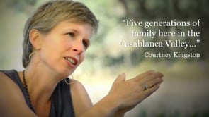 F+C Video Collection