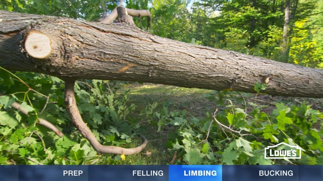 Lowe's - How To Cut Down a Tree