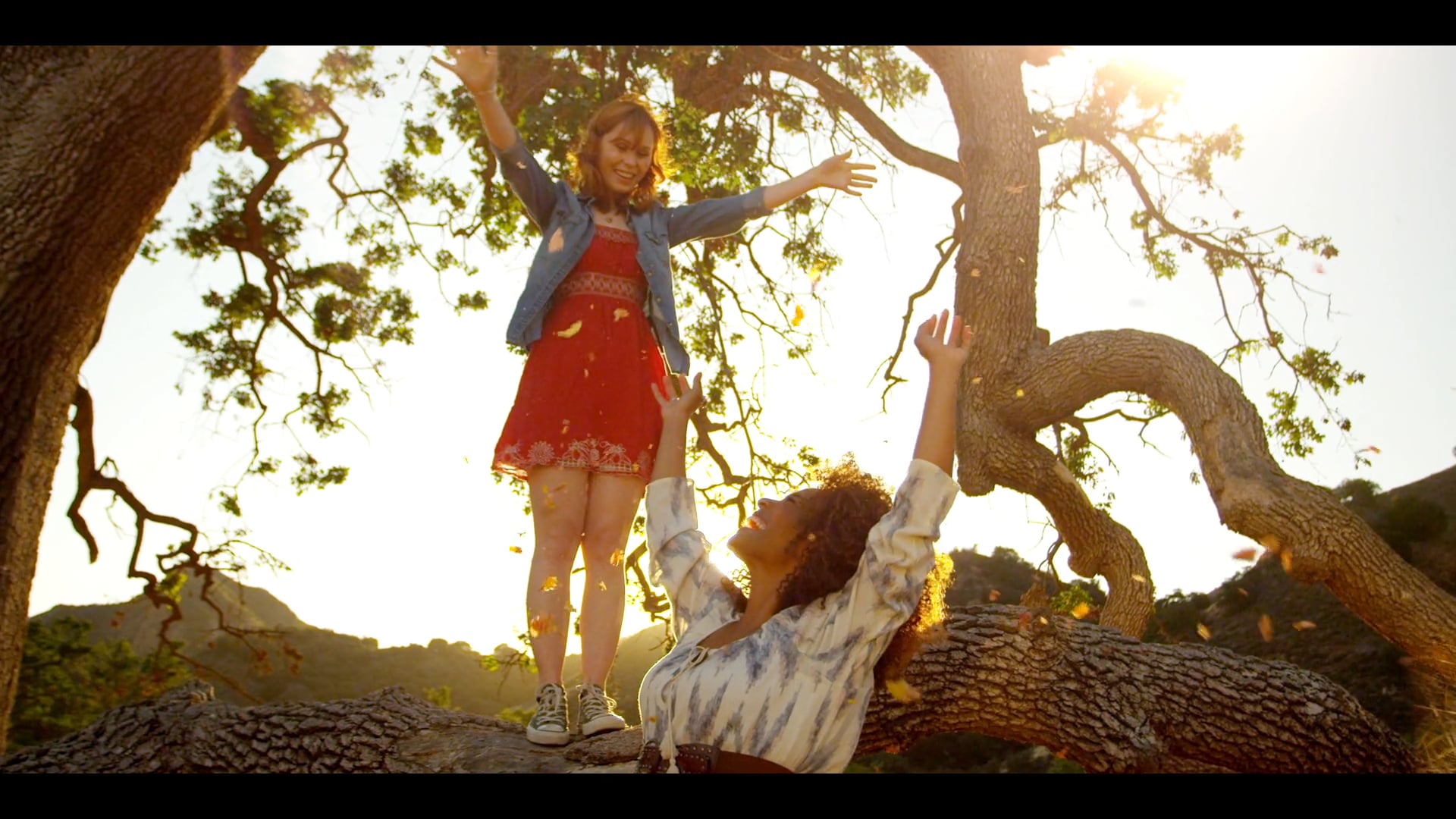 CO2 Solutions (Eric Jackson)