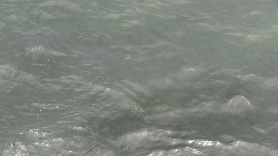 ob pier 5, 3 movements