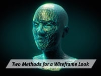 Wireframe Look