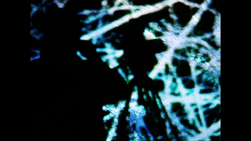 Rhizomatic Directed Simulation