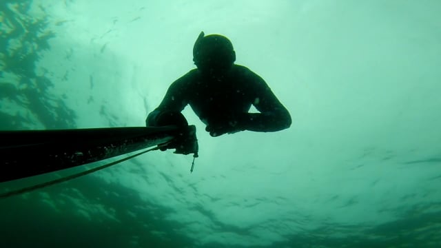 Spearfishing in Ocean CIty, MD
