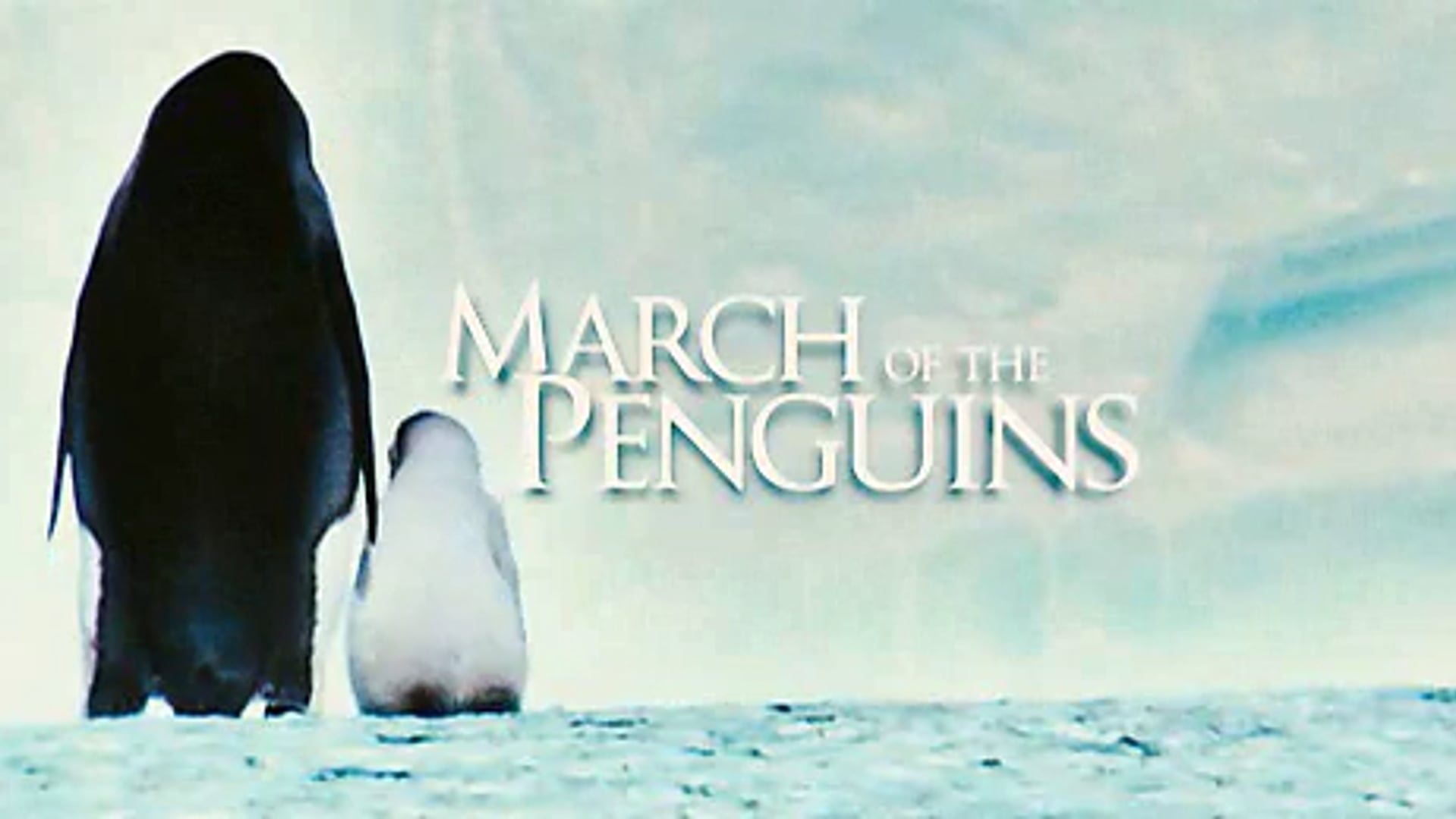 22 - March of the Penguins