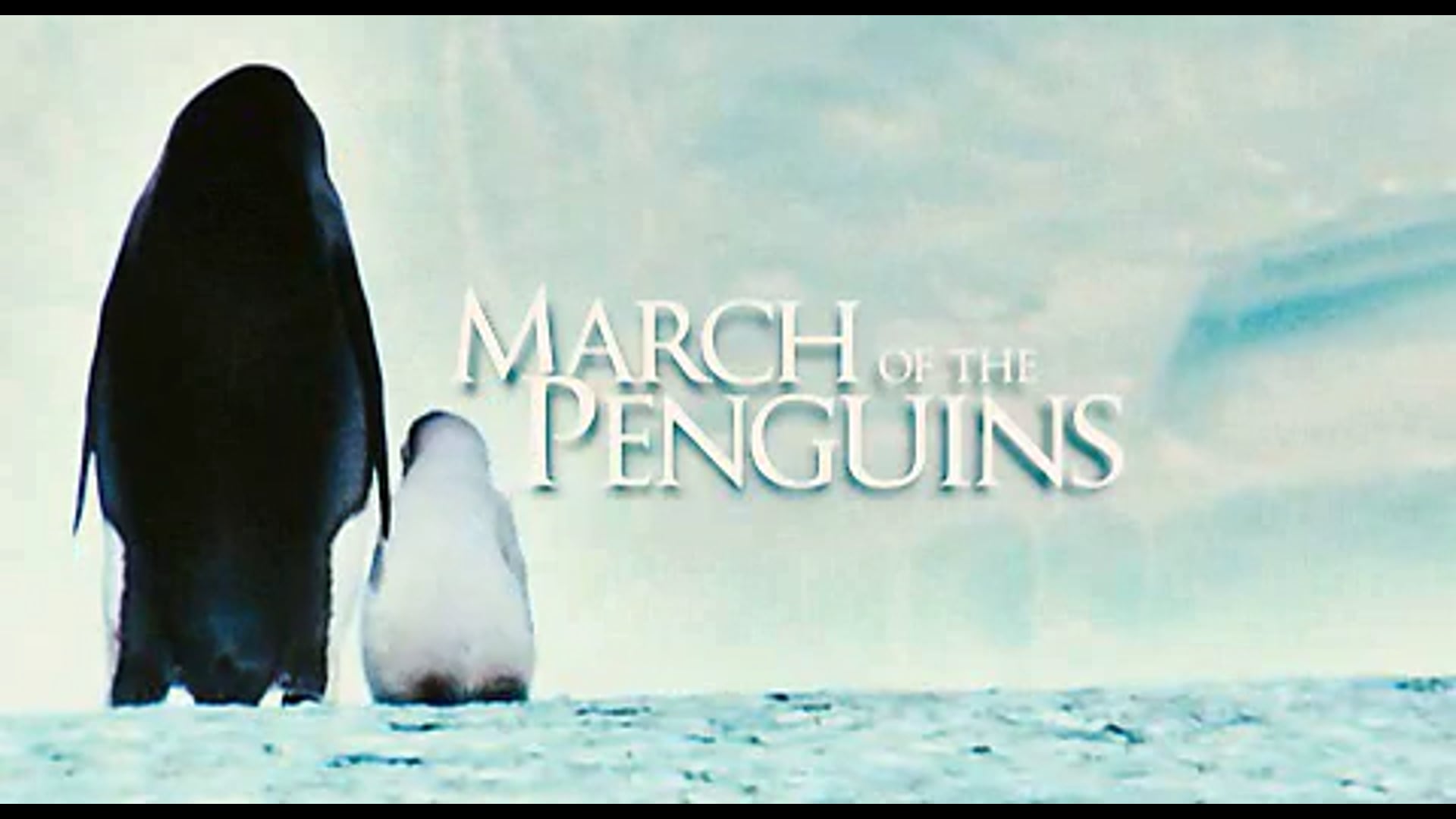 22 - March of the Penguins