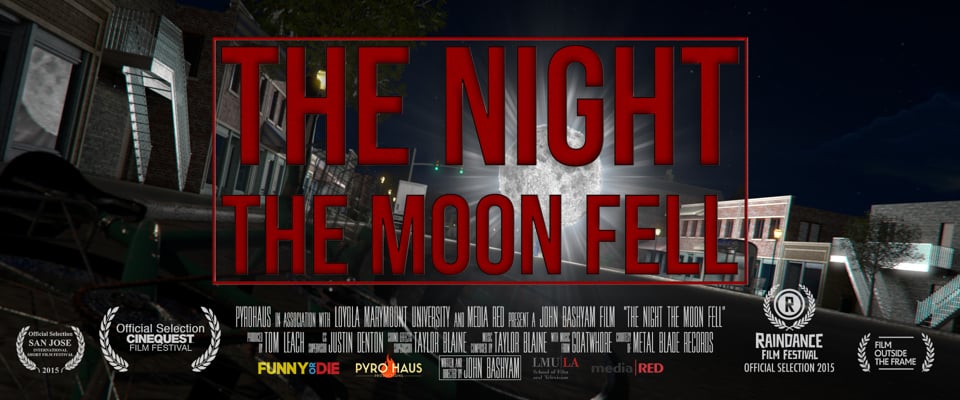 De nacht dat de maan viel
