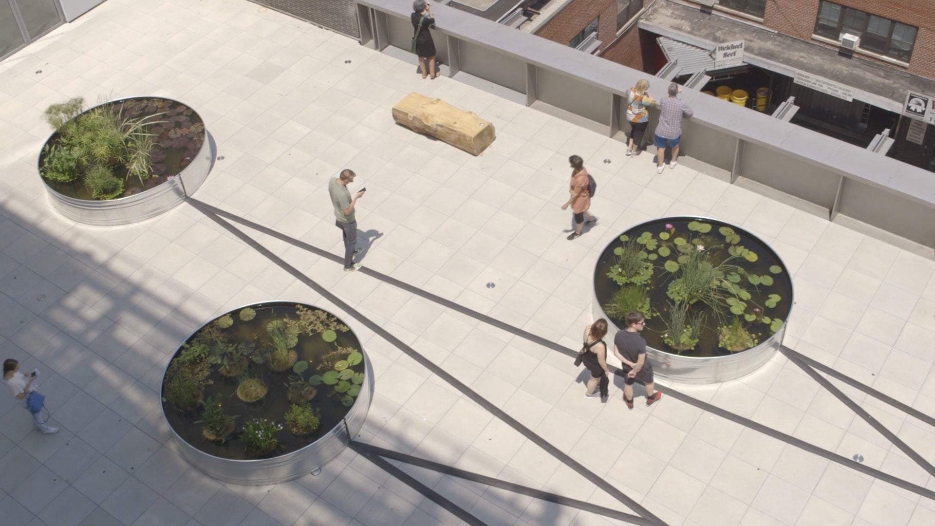 Virginia Overton: Sculpture Gardens