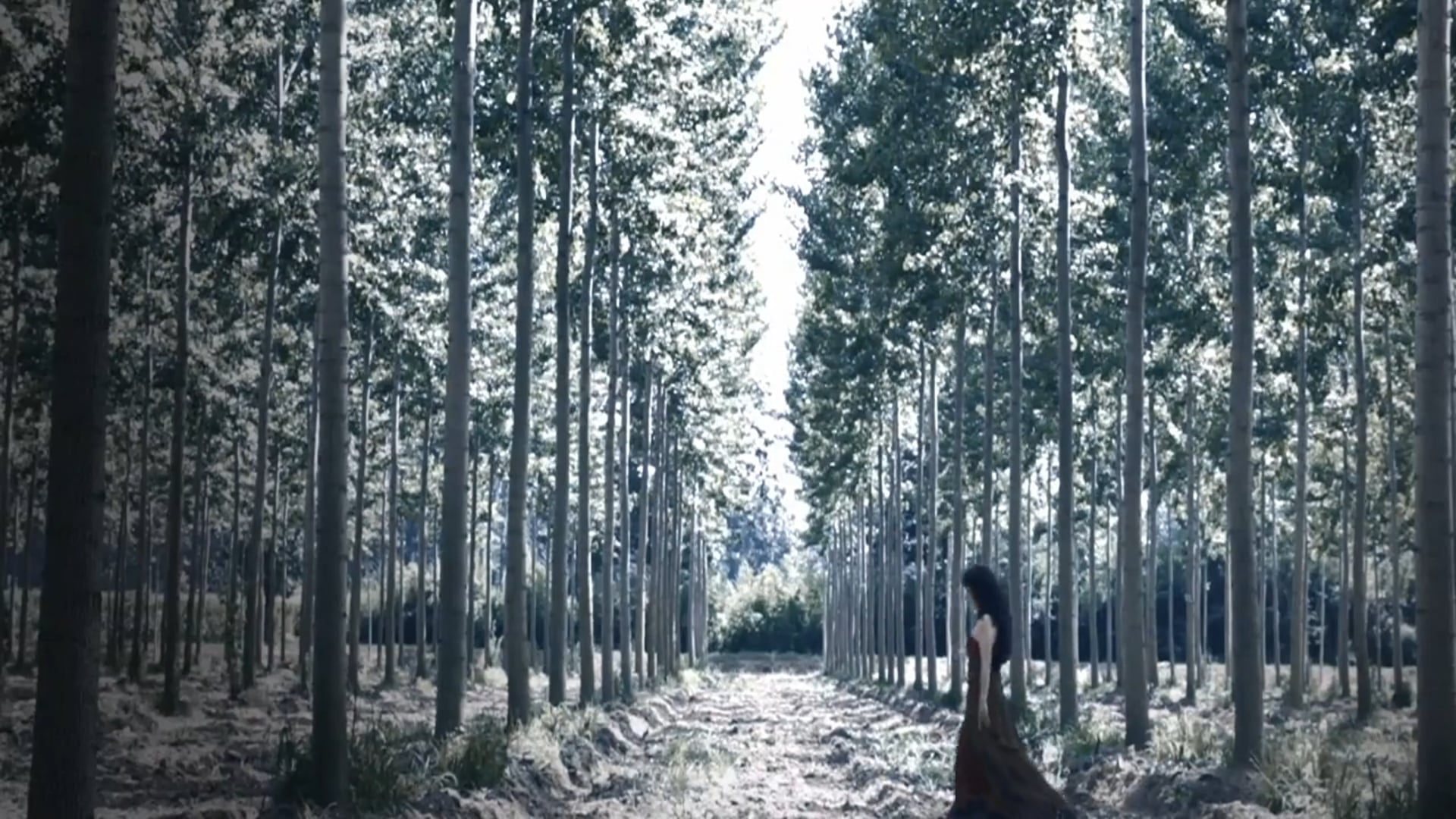 Music video SANGUE DALL'ANIMA -  Blood from the soul