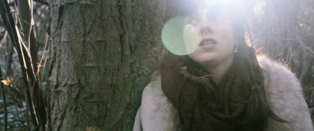 The Hunter (trailer)