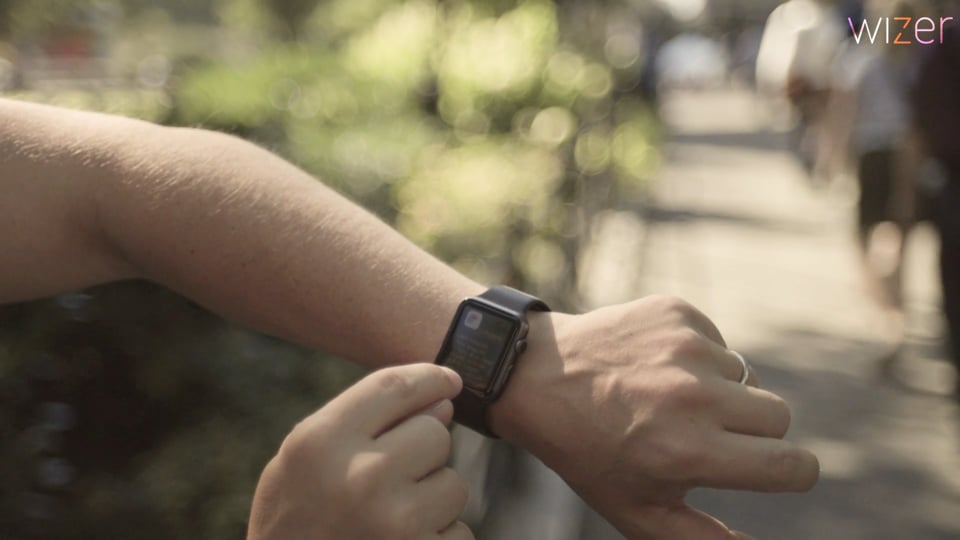 Wizer Wearables
