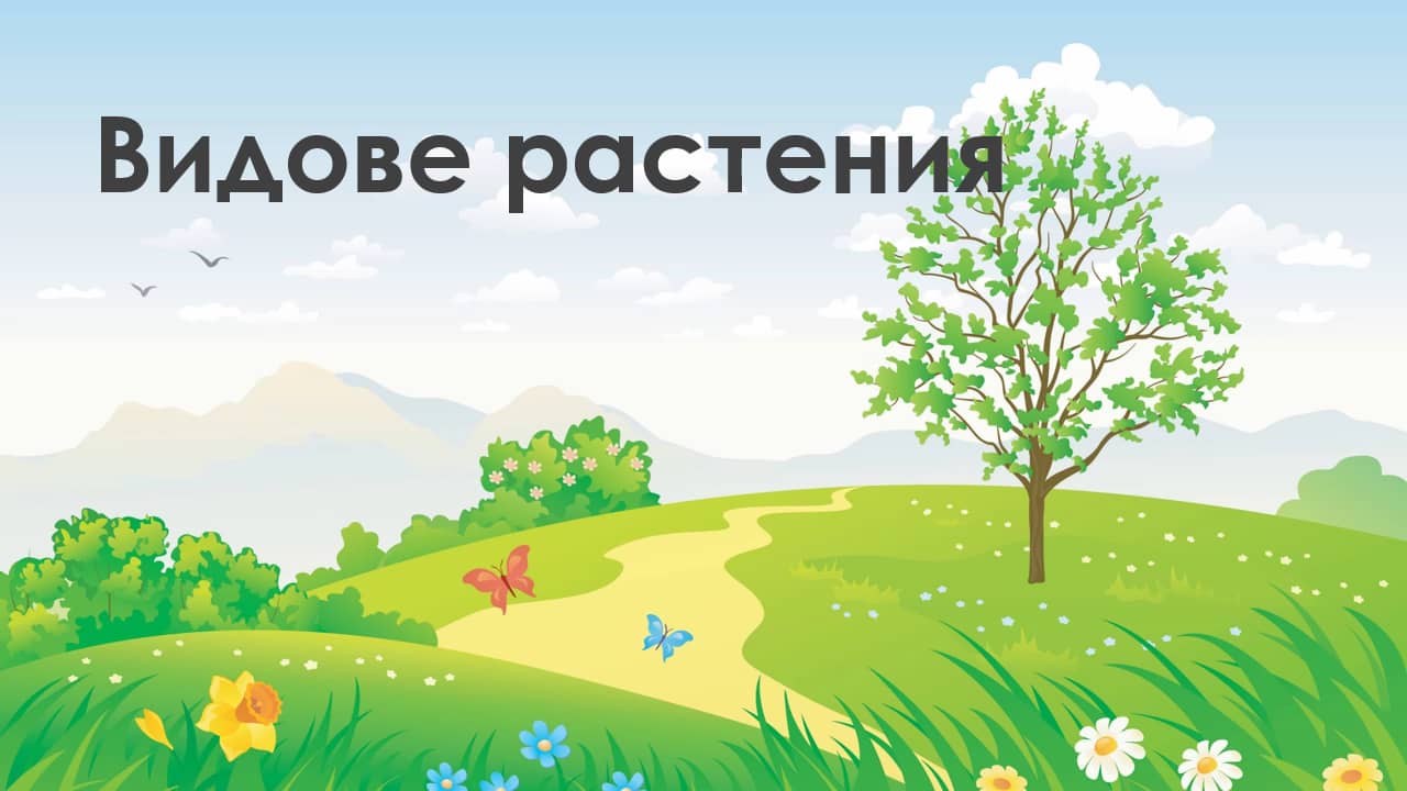 Видове растения - Околен свят 1 клас on Vimeo