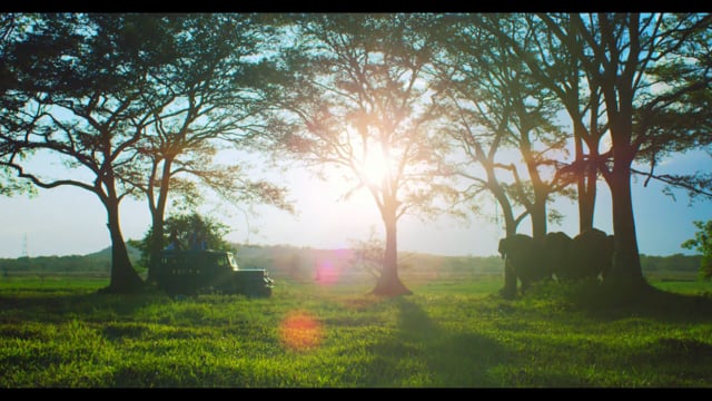 Cinnamon Hotels and Resorts