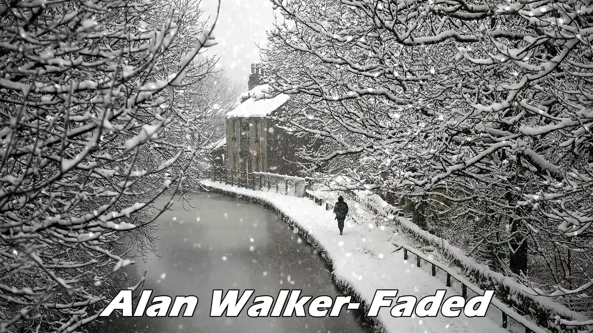 Alan Walker on Vimeo