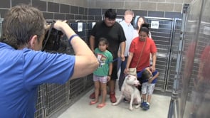 Animal Shelter Free Adoptions by Chip & Joanna