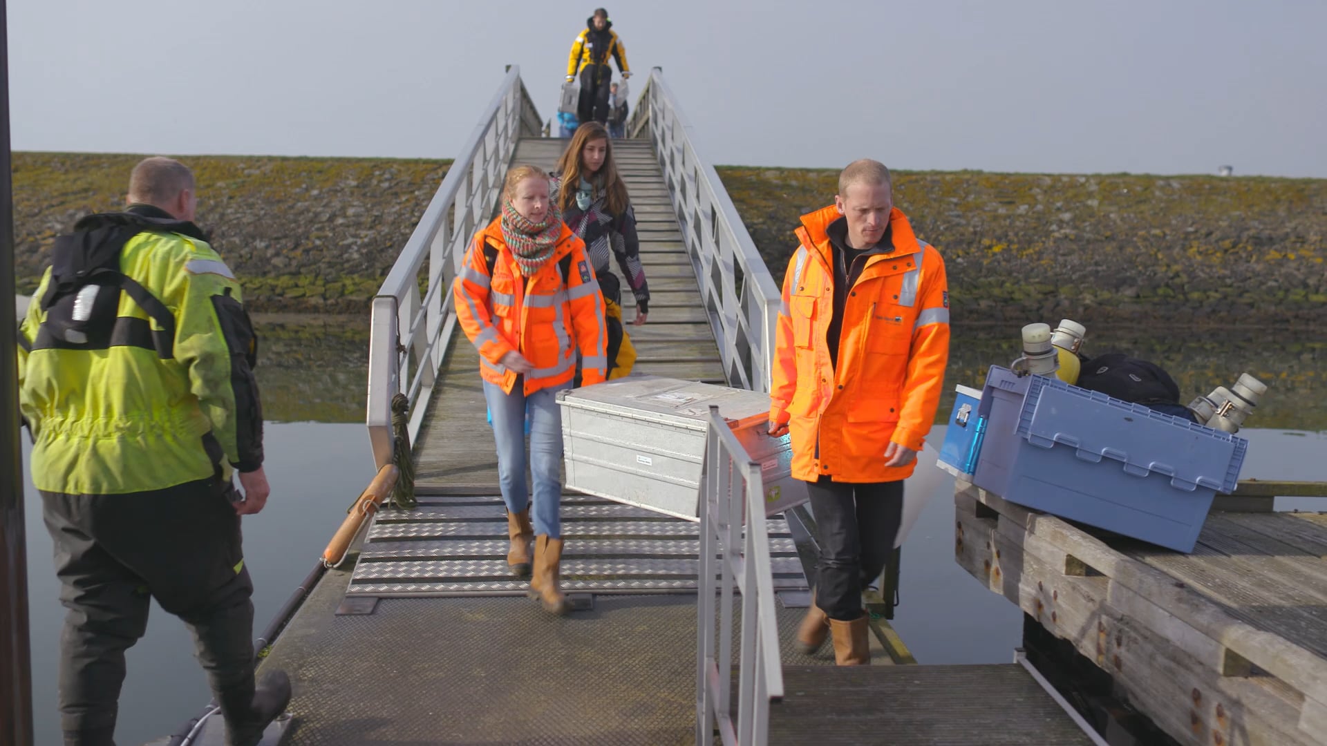How does it work? - FaunaGuard - Sustainable and innovative underwater ...