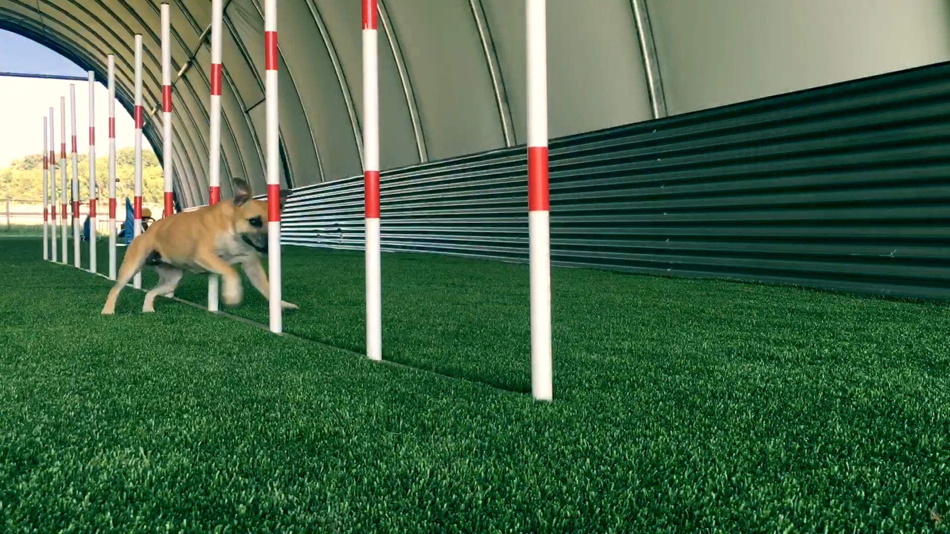 AGILITY SPORT COMPLEXE COUVERT