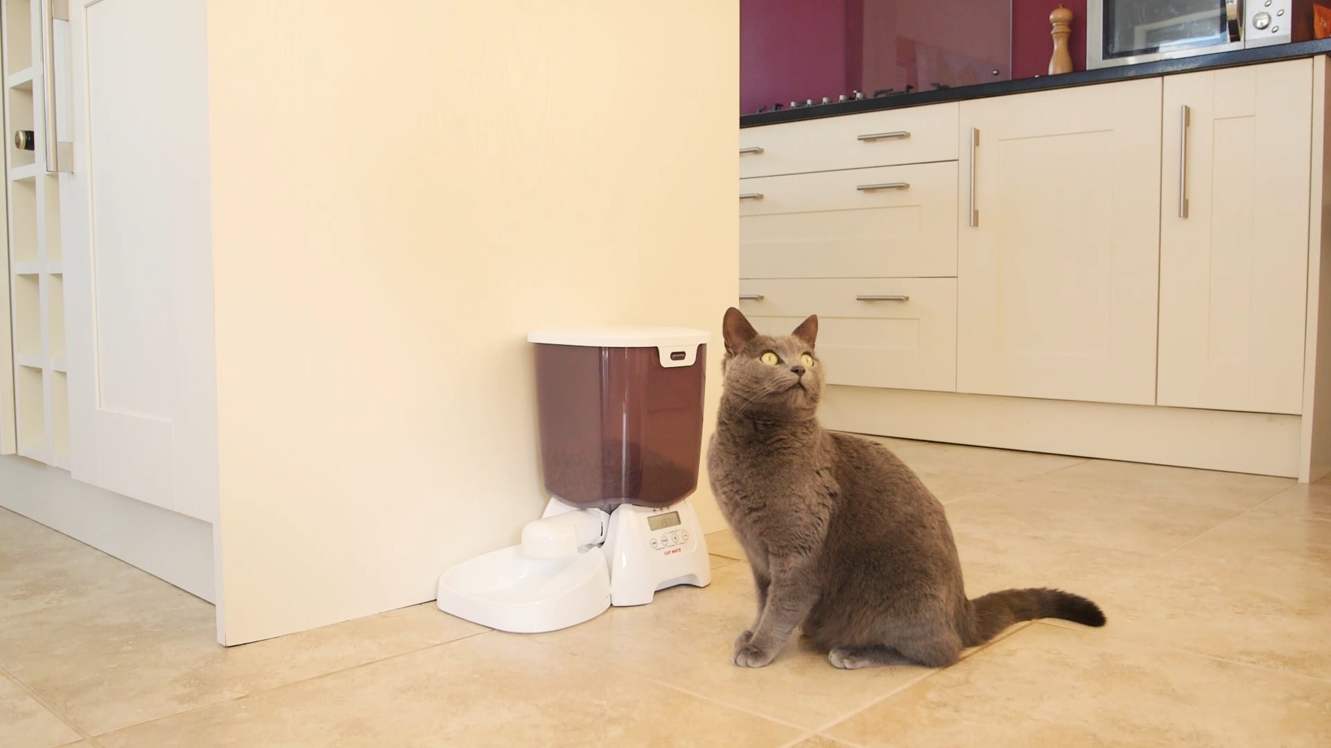 Introducing the Cat Mate C3000. on Vimeo