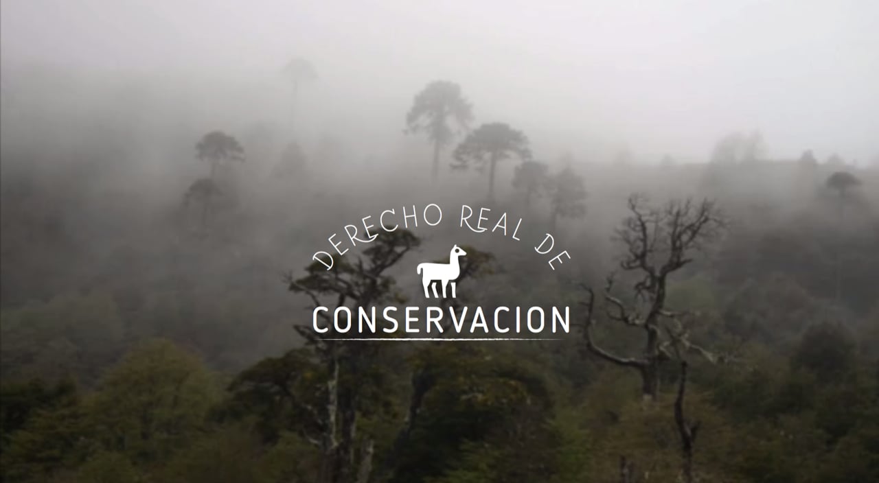 Entrevista a Francisco Solis sobre el Derecho Real de Conservación
