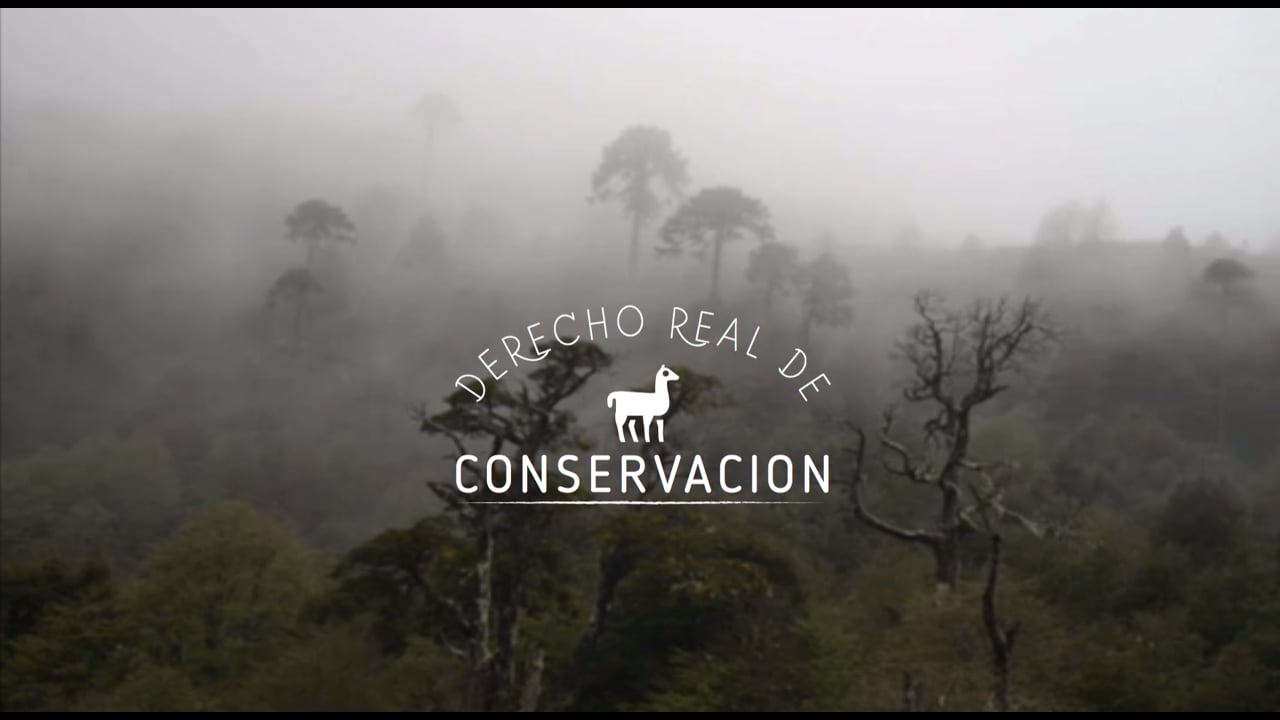 Entrevista a Francisco Solis sobre el Derecho Real de Conservación