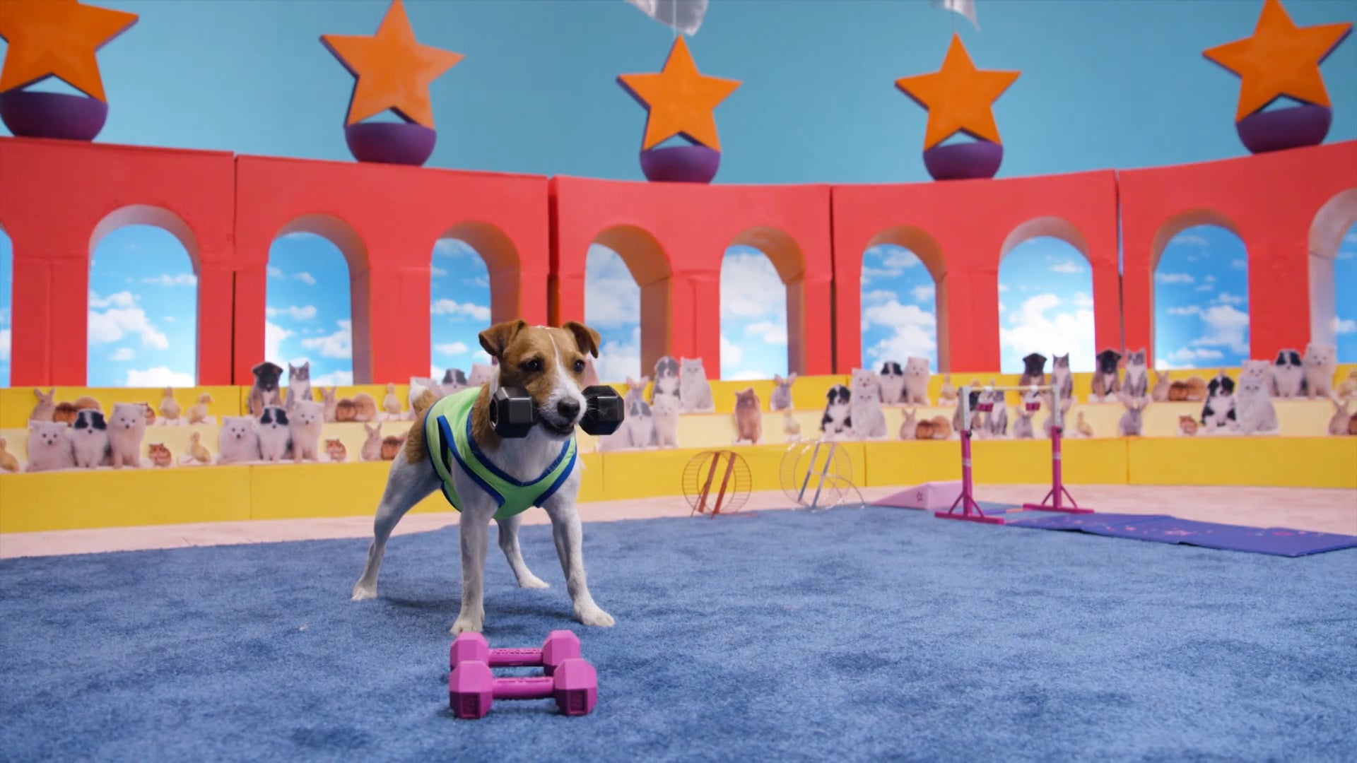 Super Snuggly Sports Spectacular - Strong Pup on Vimeo