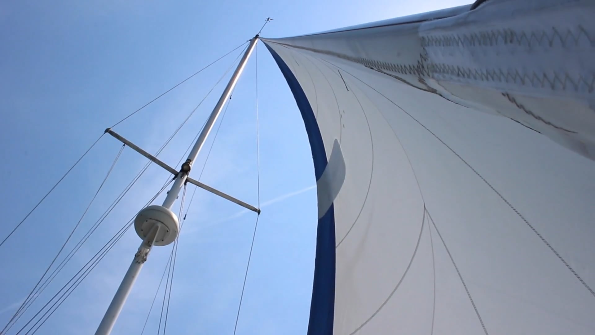 Watch Lazy Gecko Sailing - Season 2 Online | Vimeo On Demand