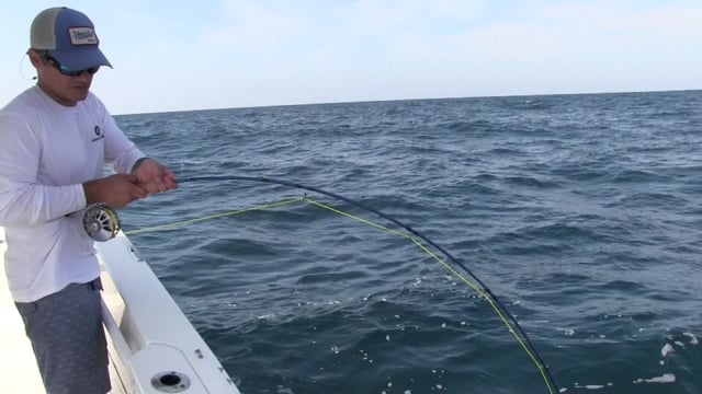 Fly Fishing Meets The Spear - 50 Miles Offshore! — Ocean City, Maryland