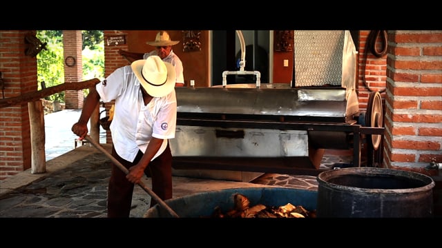 Descubriendo los Secretos de la Raicilla: Una Joya de Jalisco