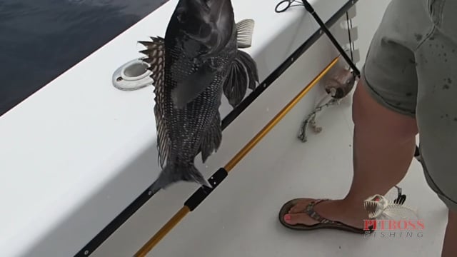 El Dorado aboard the Bad Influence & Pitboss Fishing in Ocean City Maryland