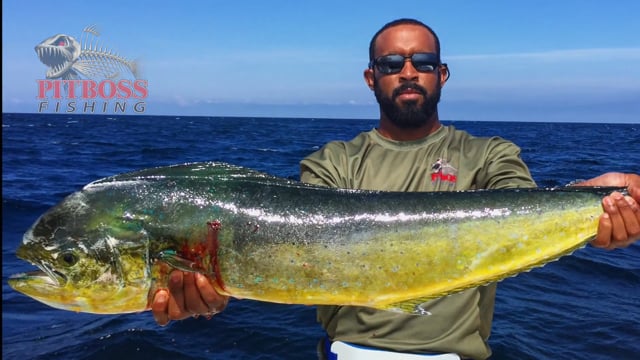 El Dorado aboard the Bad Influence & Pitboss Fishing in Ocean City Maryland