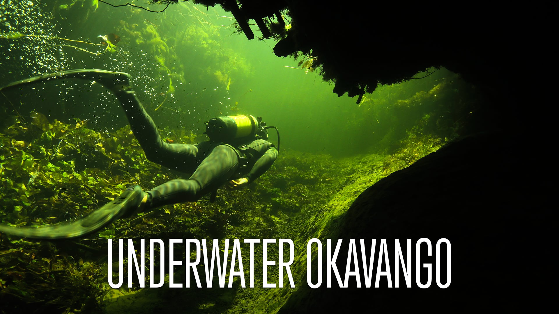 Watch Underwater Okavango Online Vimeo On Demand on Vimeo