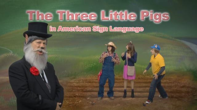 Three Little Pigs