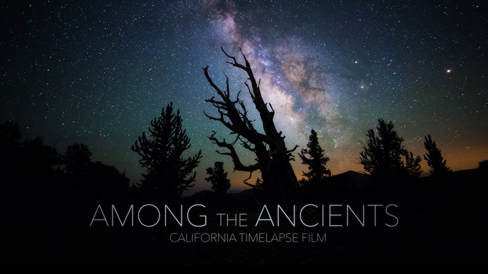 Medzi starovekými - Kalifornia Timelapse 4K