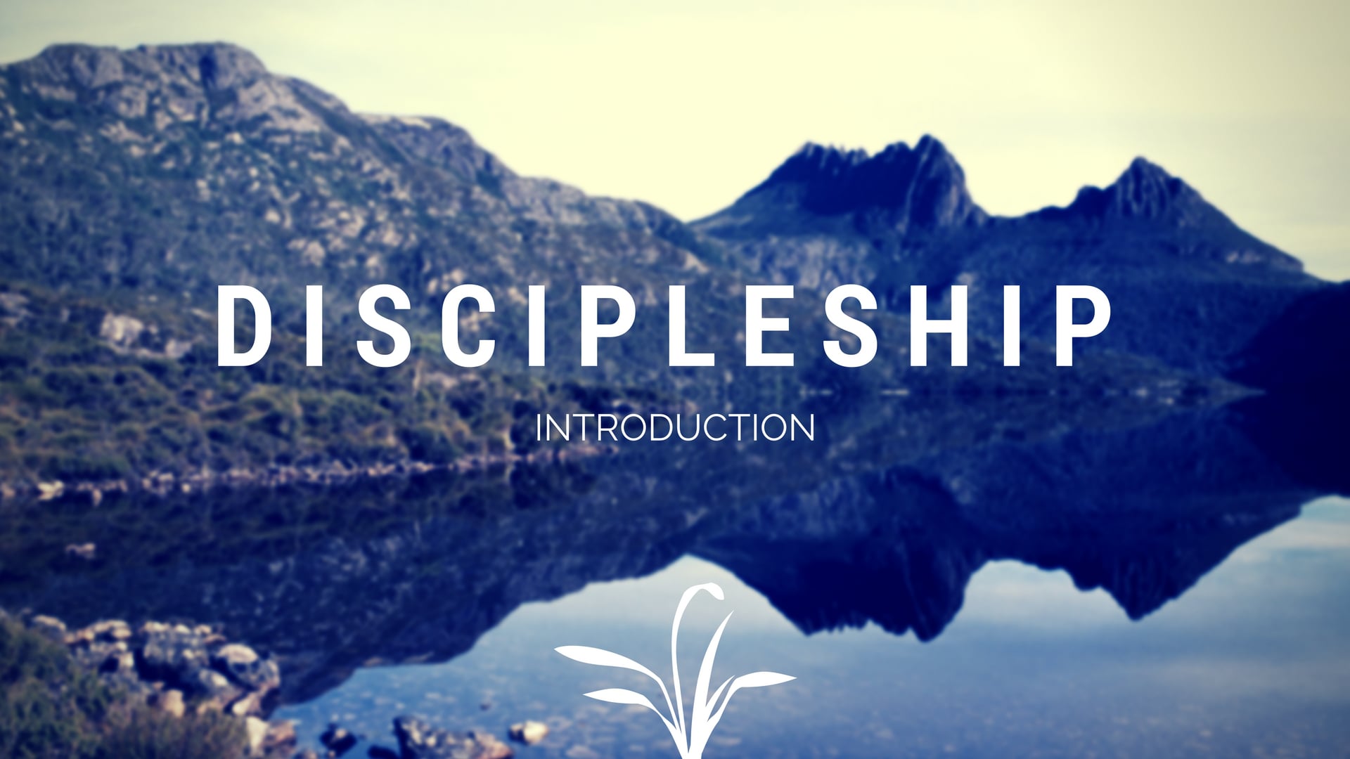 Discipleship Series