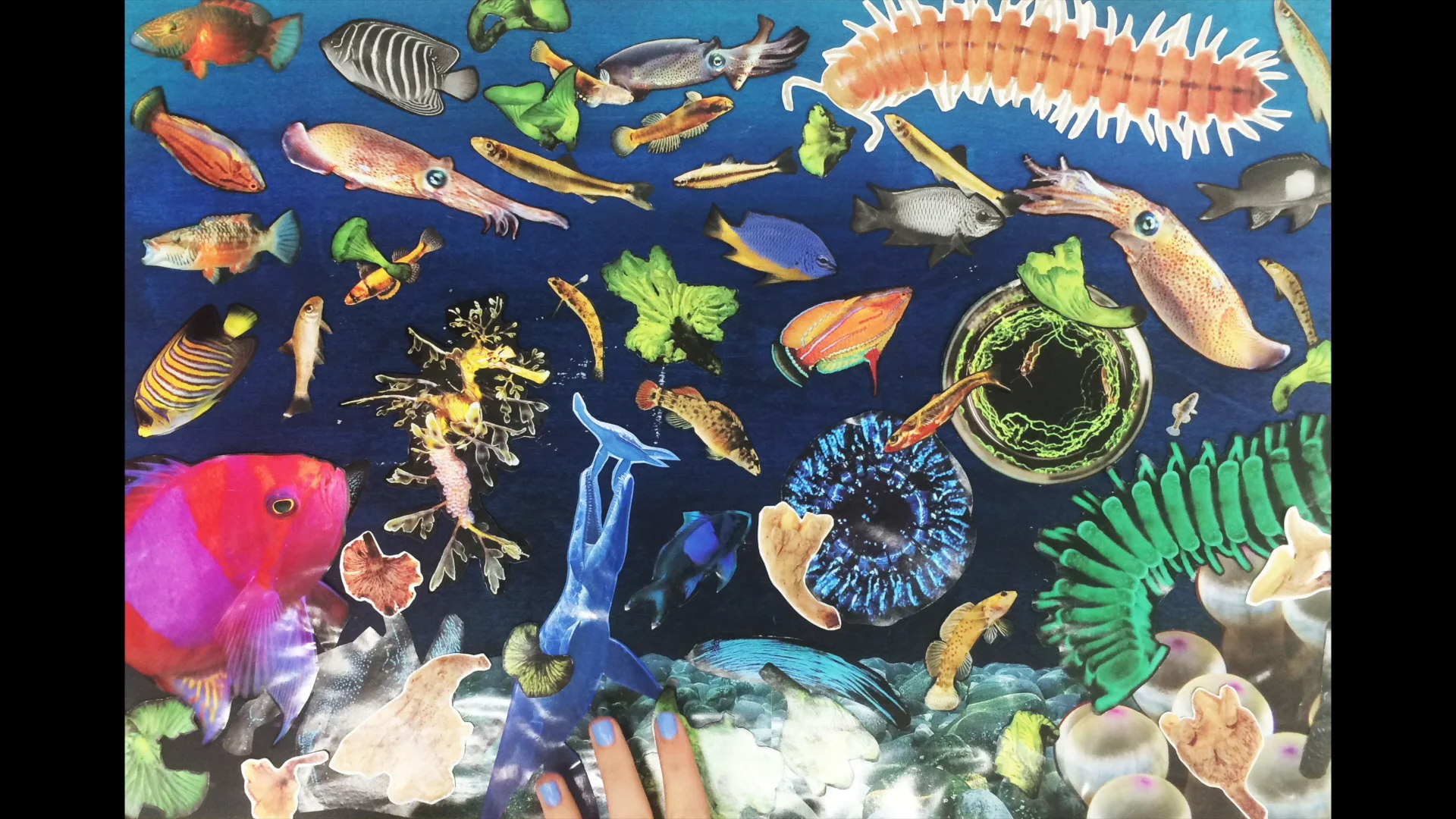 FISH - stop motion on Vimeo