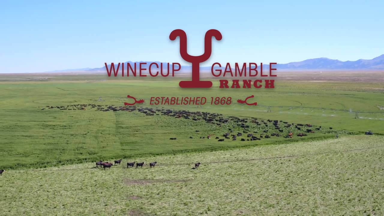 Winecup Gamble Ranch on Vimeo