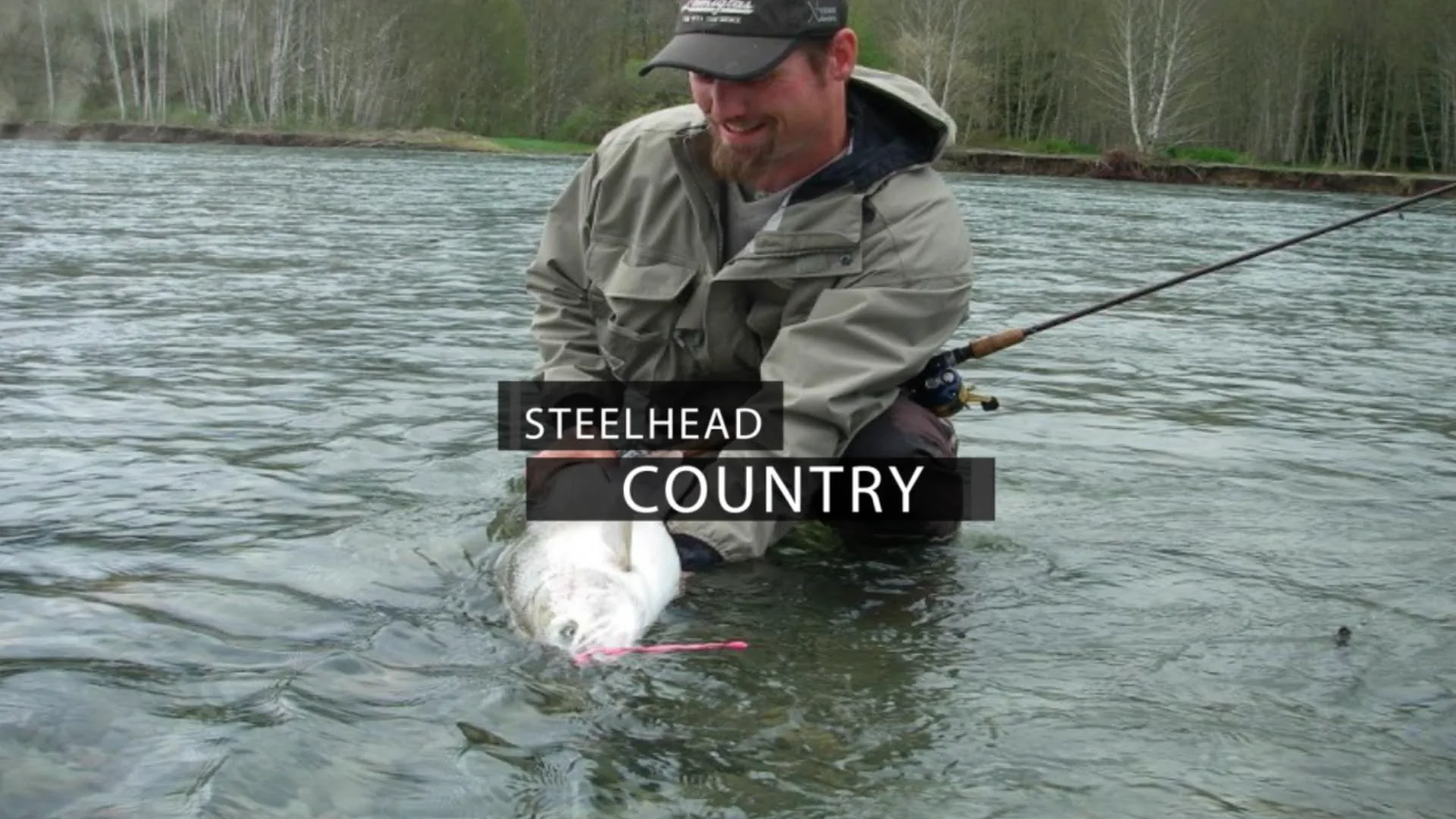 Steelhead Country