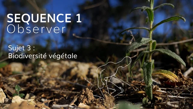 Biodiveg : La biodiversité du monde végétal