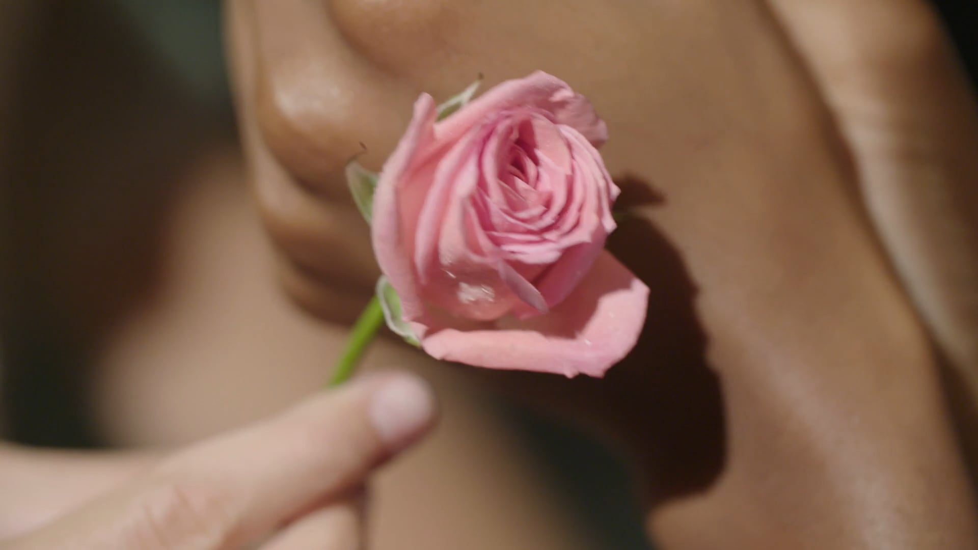 Sensory Speed Date teaser