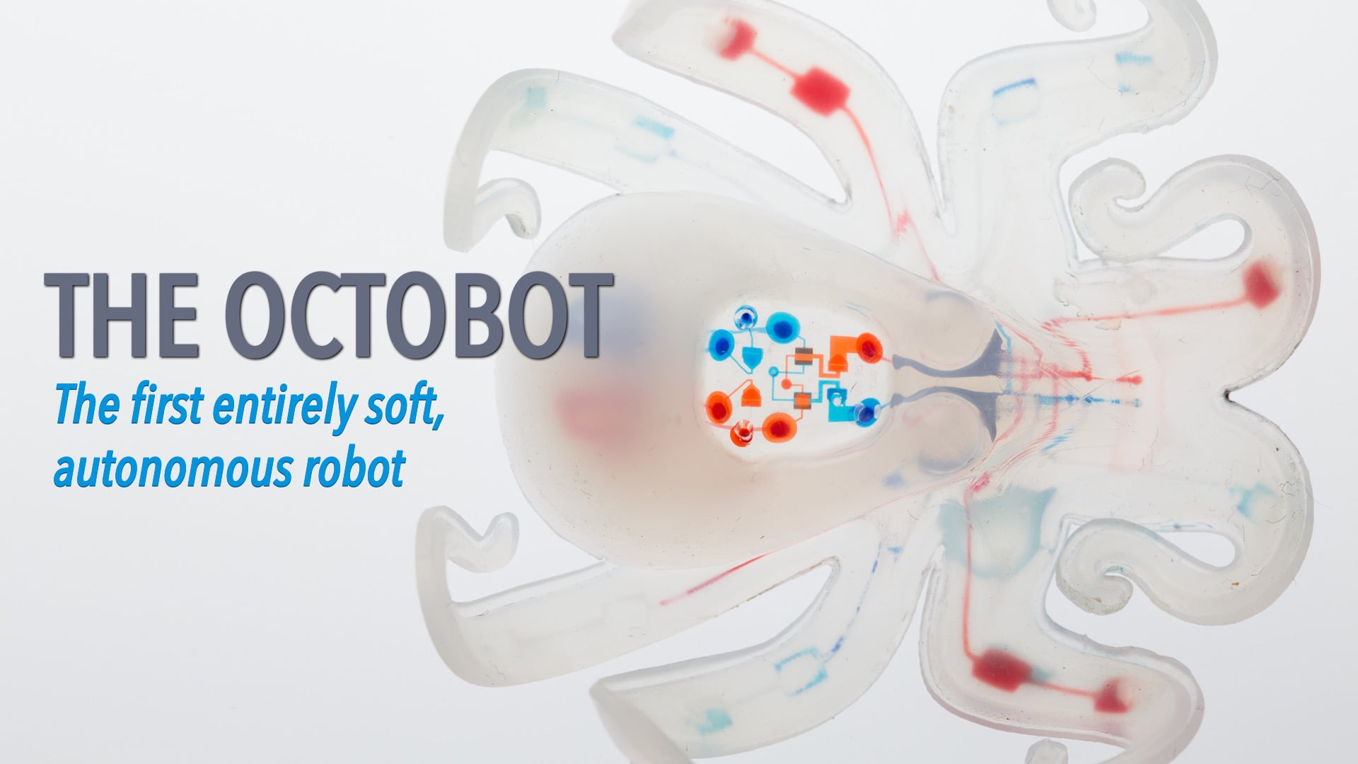 Octobot: A Soft, Autonomous Robot