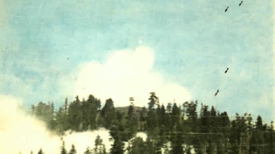 The 1947 Water Bombing Experiment