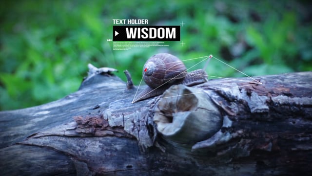 vimeo-video-thumbnail