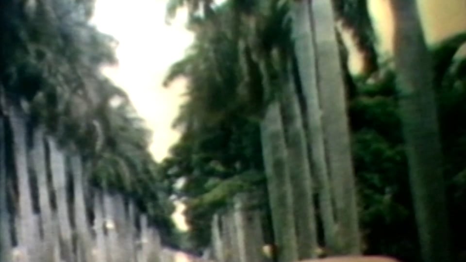 Levitation Road (Part 01 of Augury)