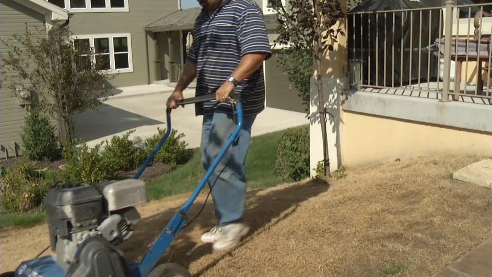 Tips from Toby – Total Lawn Renovation Renovation Part 1