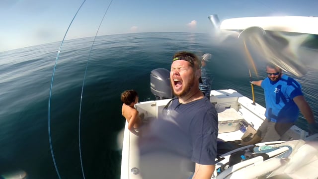 SpearfishingCobia — Ocean City, Maryland