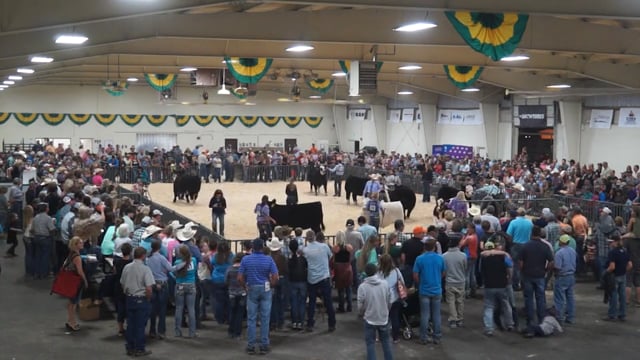 2016 Colorado State Fair