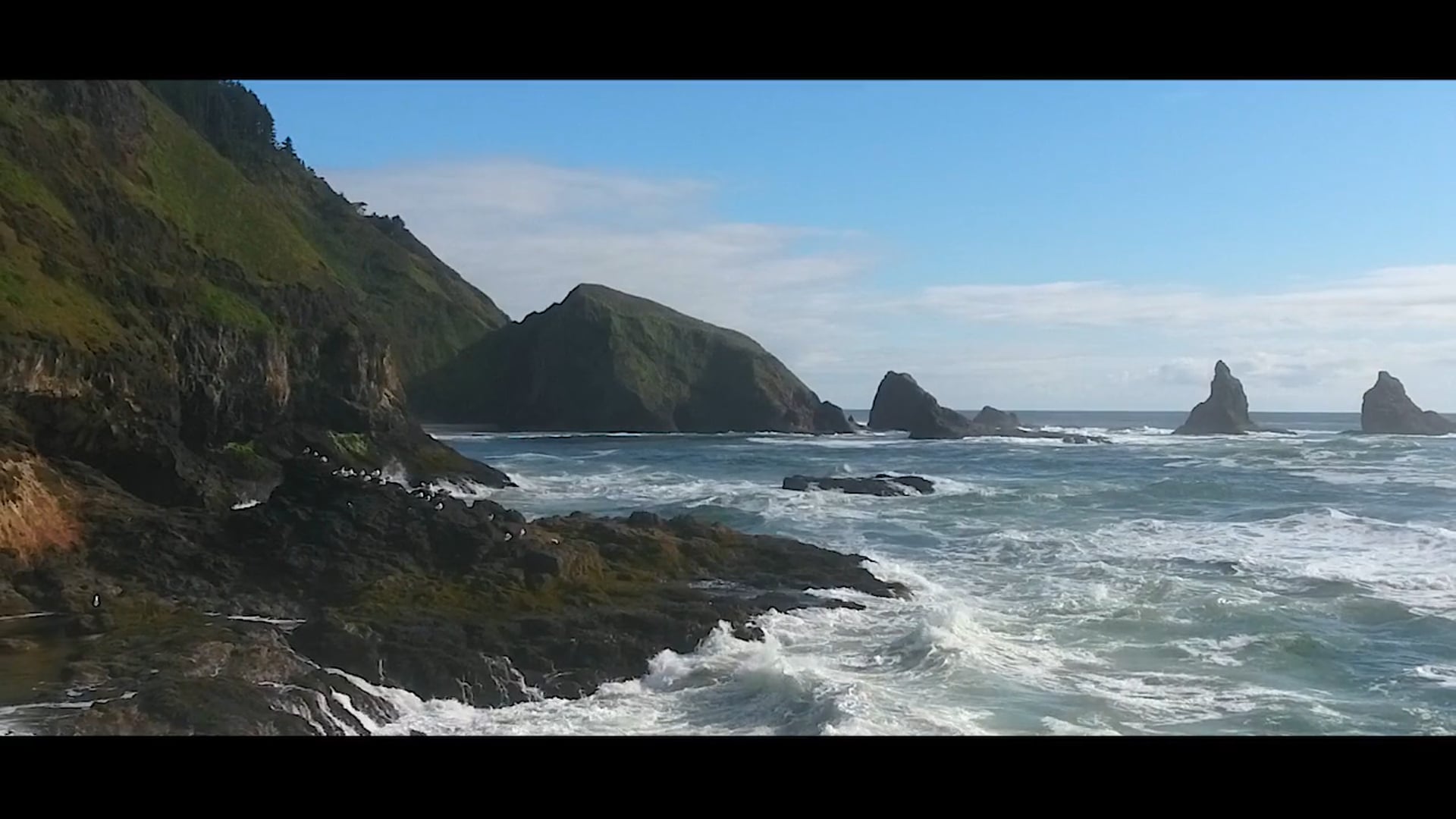 OUT OF OPEN OCEAN