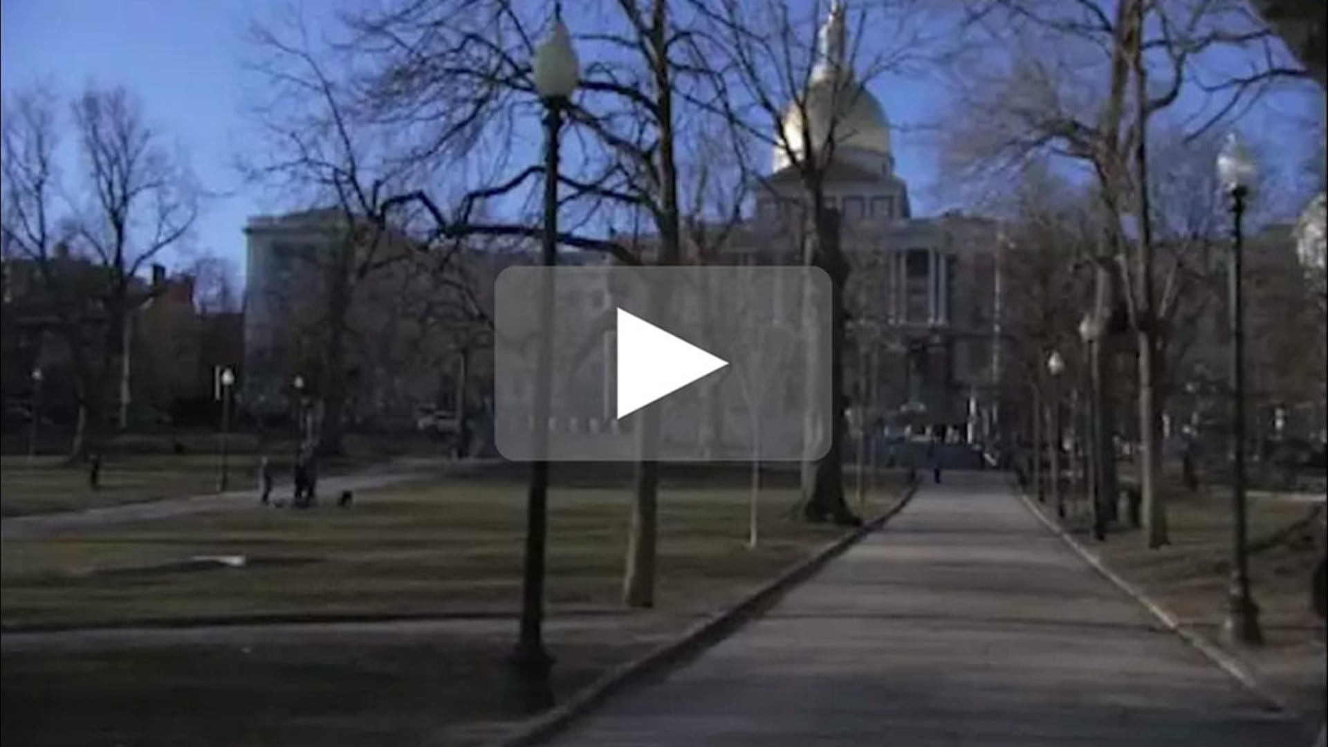 SOS State of Security [2011, documentary feature]