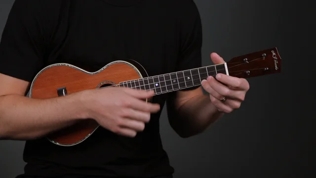 Learn To Play Ukulele For Adult Beginners: A Complete Absolute Beginners  Guide by Erik Matthew