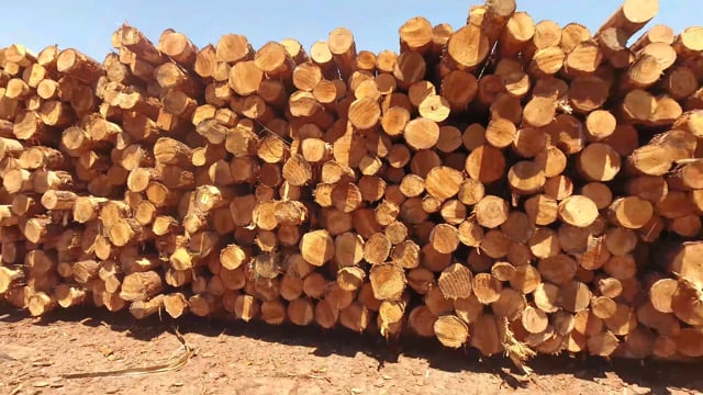 Tri State Lumber - Customer Success Story