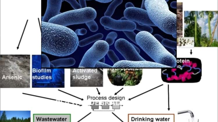 Biotechnology In Environment